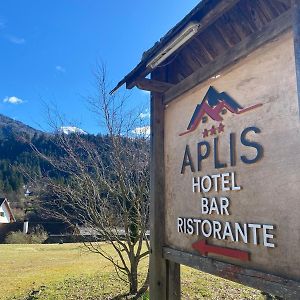 Hotel Aplis